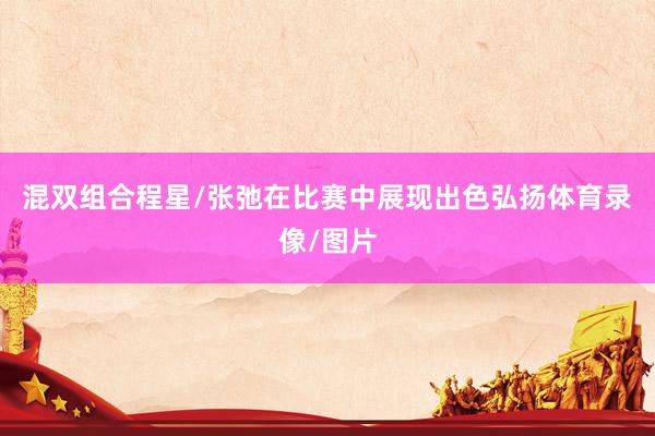 混双组合程星/张弛在比赛中展现出色弘扬体育录像/图片