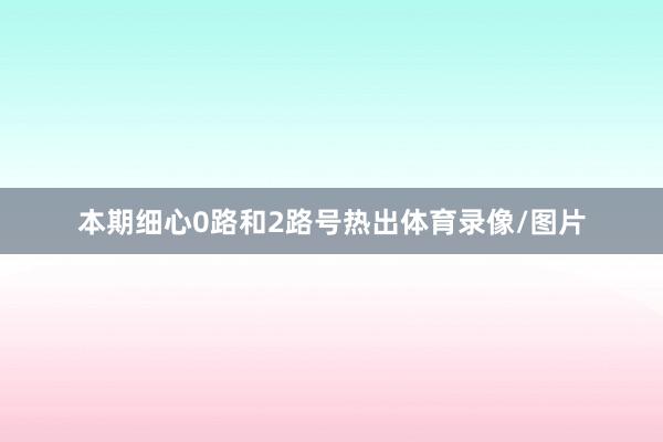 本期细心0路和2路号热出体育录像/图片