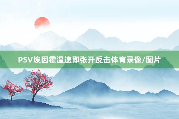 PSV埃因霍温速即张开反击体育录像/图片