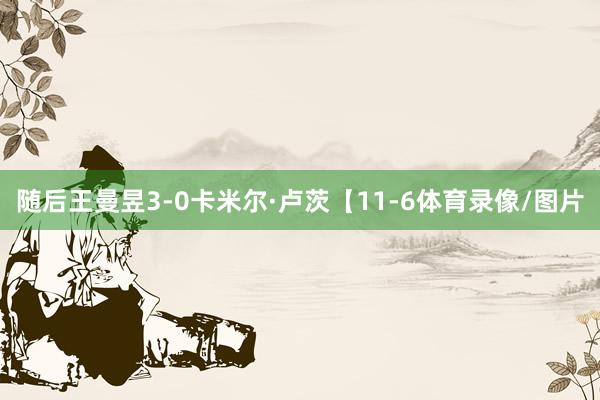 随后王曼昱3-0卡米尔·卢茨【11-6体育录像/图片