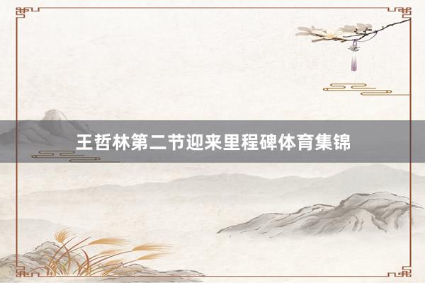 王哲林第二节迎来里程碑体育集锦