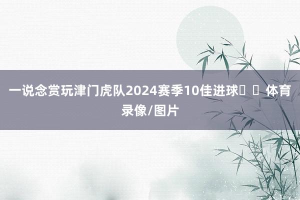 一说念赏玩津门虎队2024赛季10佳进球⚽️体育录像/图片