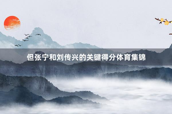 但张宁和刘传兴的关键得分体育集锦