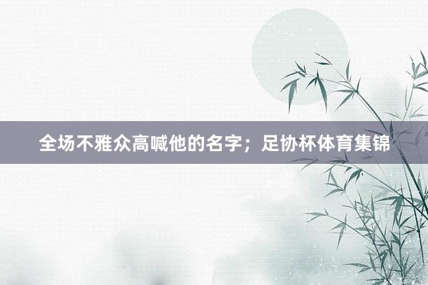全场不雅众高喊他的名字；足协杯体育集锦