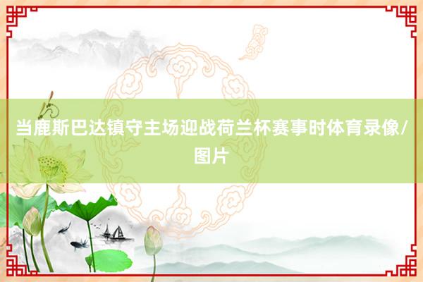当鹿斯巴达镇守主场迎战荷兰杯赛事时体育录像/图片