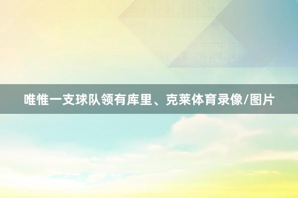 唯惟一支球队领有库里、克莱体育录像/图片