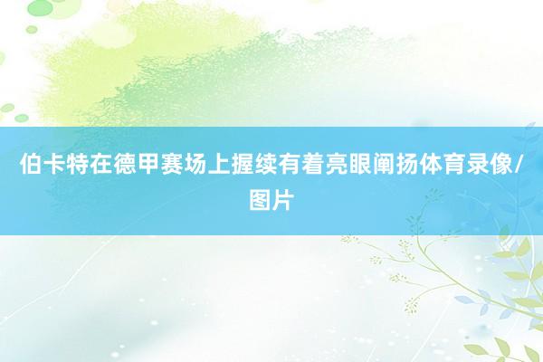 伯卡特在德甲赛场上握续有着亮眼阐扬体育录像/图片