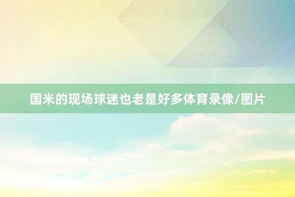 国米的现场球迷也老是好多体育录像/图片