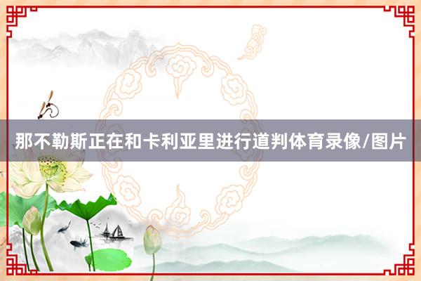 那不勒斯正在和卡利亚里进行道判体育录像/图片