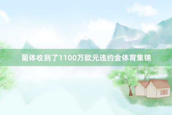 葡体收到了1100万欧元违约金体育集锦