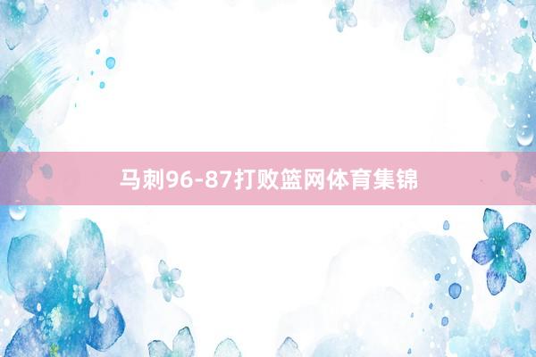 马刺96-87打败篮网体育集锦