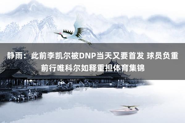 静雨：此前李凯尔被DNP当天又要首发 球员负重前行唯科尔如释重担体育集锦