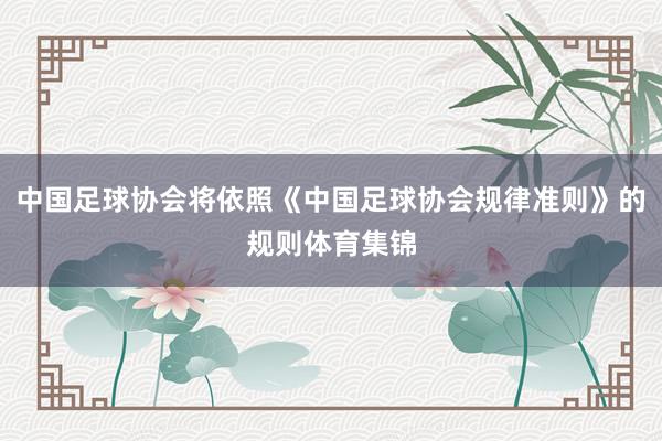 中国足球协会将依照《中国足球协会规律准则》的规则体育集锦