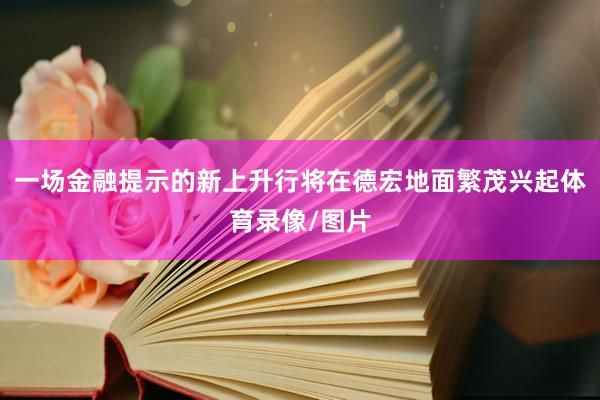一场金融提示的新上升行将在德宏地面繁茂兴起体育录像/图片