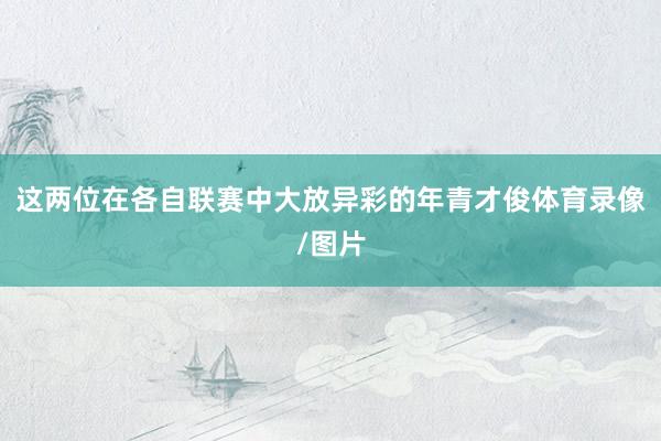 这两位在各自联赛中大放异彩的年青才俊体育录像/图片