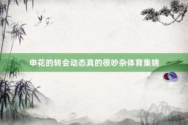 申花的转会动态真的很吵杂体育集锦