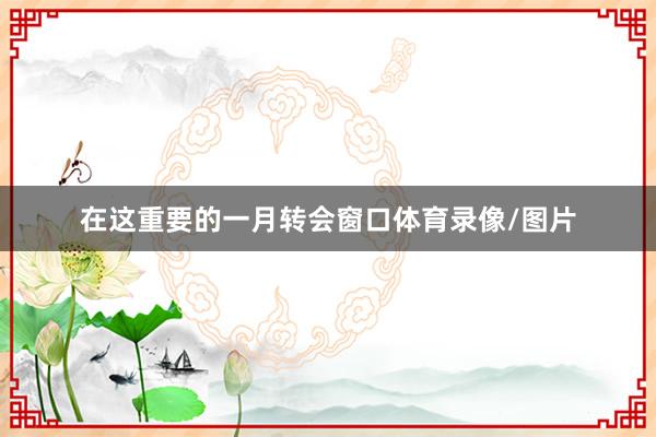 在这重要的一月转会窗口体育录像/图片