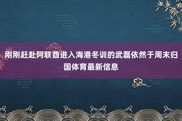 刚刚赶赴阿联酋进入海港冬训的武磊依然于周末归国体育最新信息