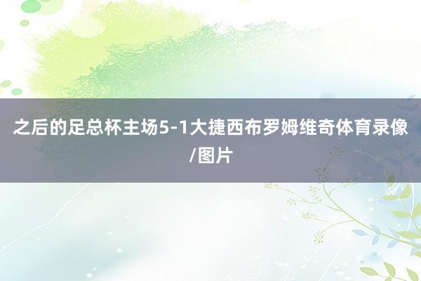 之后的足总杯主场5-1大捷西布罗姆维奇体育录像/图片