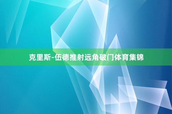 克里斯-伍德推射远角破门体育集锦