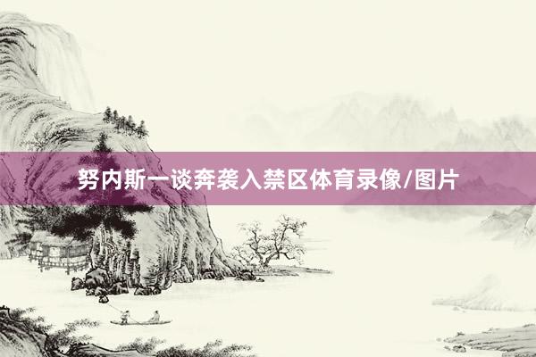 努内斯一谈奔袭入禁区体育录像/图片