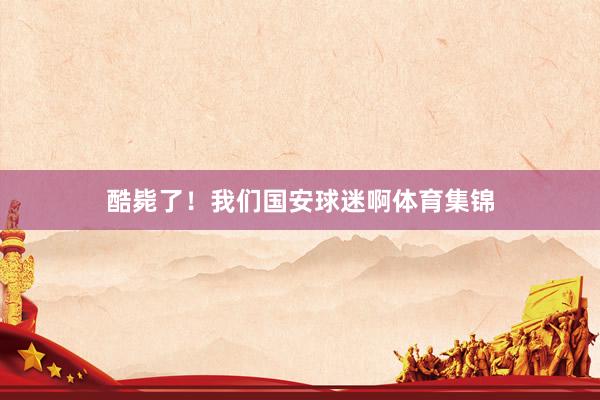 酷毙了！我们国安球迷啊体育集锦