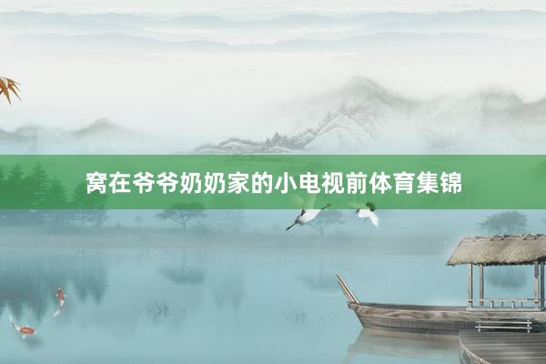 窝在爷爷奶奶家的小电视前体育集锦