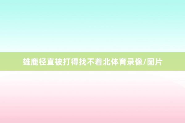 雄鹿径直被打得找不着北体育录像/图片