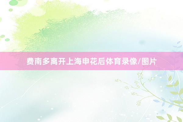 费南多离开上海申花后体育录像/图片