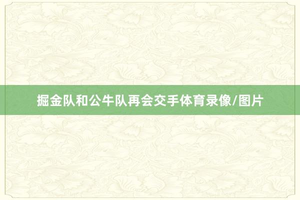 掘金队和公牛队再会交手体育录像/图片