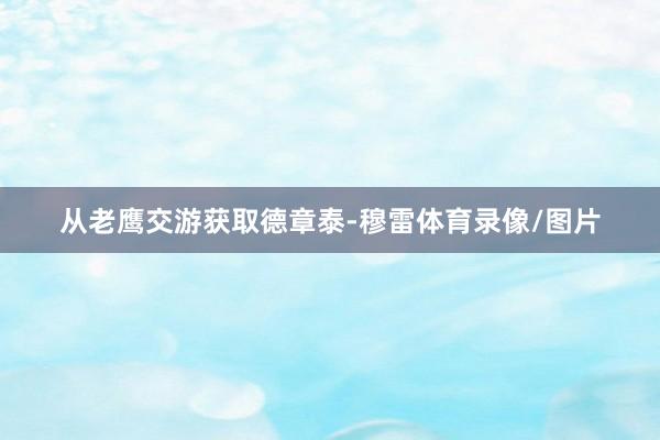 从老鹰交游获取德章泰-穆雷体育录像/图片