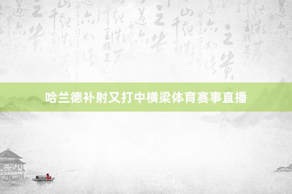哈兰德补射又打中横梁体育赛事直播