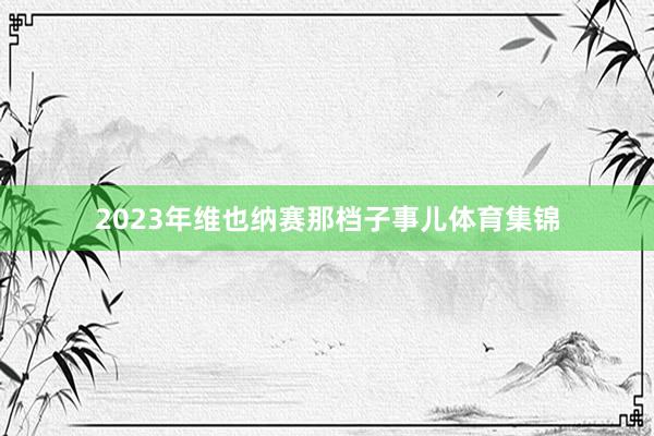 2023年维也纳赛那档子事儿体育集锦