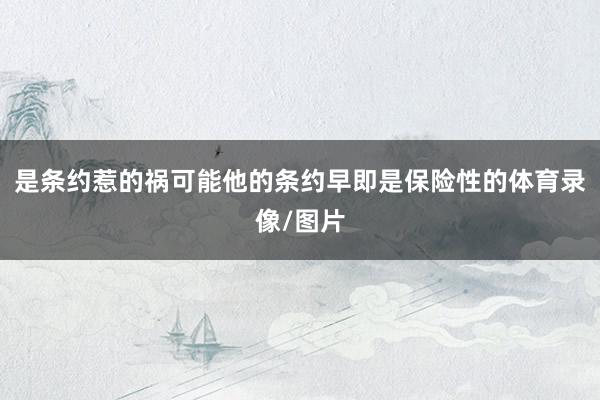 是条约惹的祸可能他的条约早即是保险性的体育录像/图片