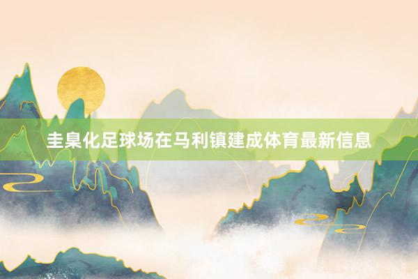 圭臬化足球场在马利镇建成体育最新信息