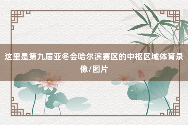 这里是第九届亚冬会哈尔滨赛区的中枢区域体育录像/图片