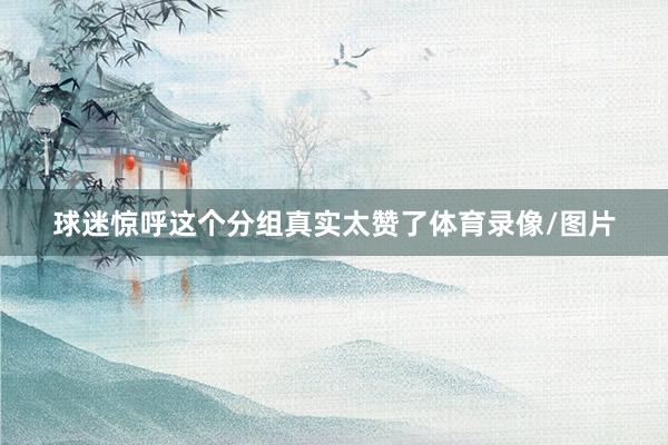 球迷惊呼这个分组真实太赞了体育录像/图片