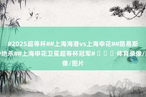 #2025超等杯##上海海港vs上海申花##路易斯读秒绝杀##上海申花卫冕超等杯冠军# ​​​体育录像/图片