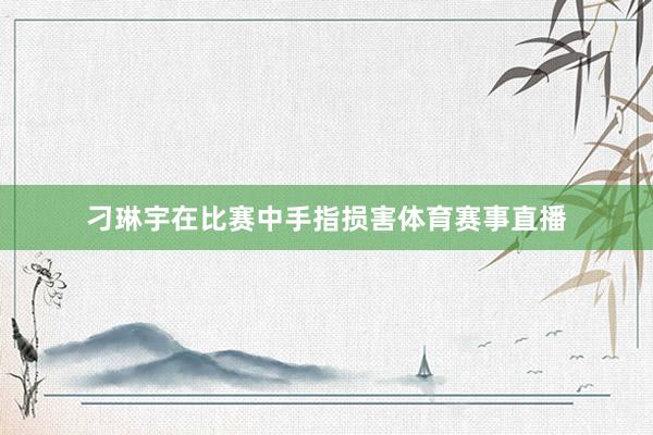刁琳宇在比赛中手指损害体育赛事直播