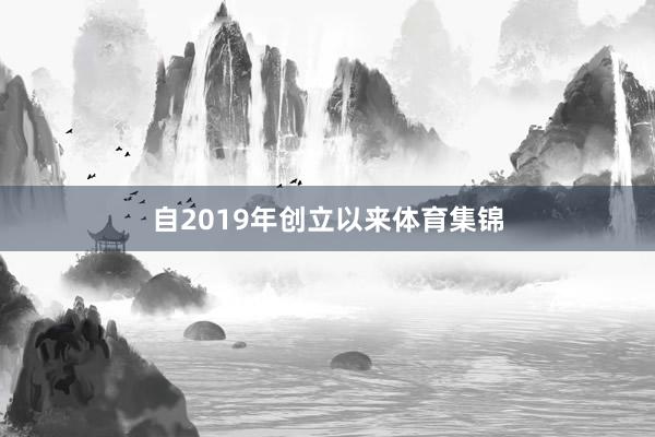 自2019年创立以来体育集锦