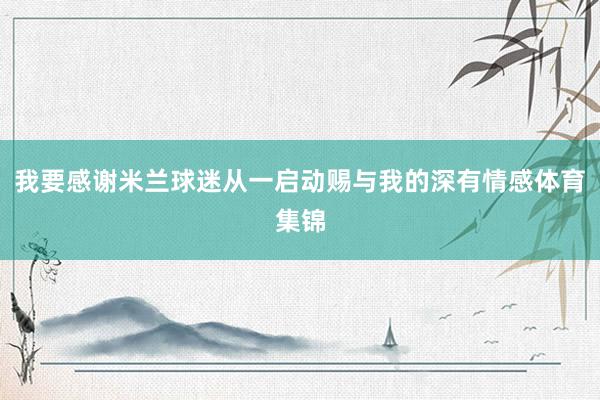 我要感谢米兰球迷从一启动赐与我的深有情感体育集锦
