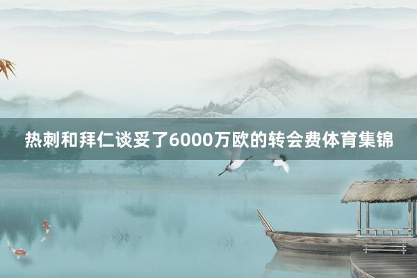 热刺和拜仁谈妥了6000万欧的转会费体育集锦