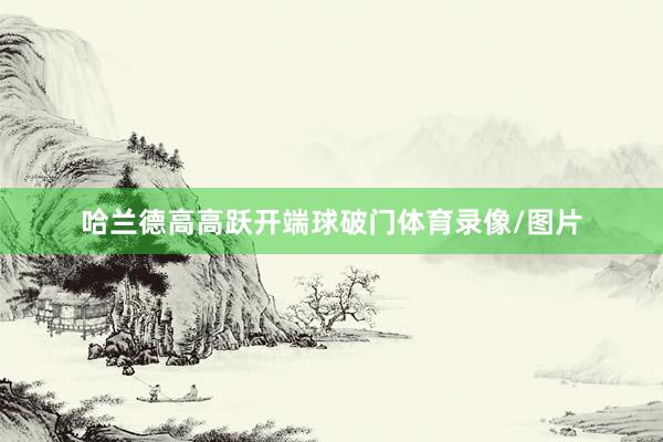 哈兰德高高跃开端球破门体育录像/图片