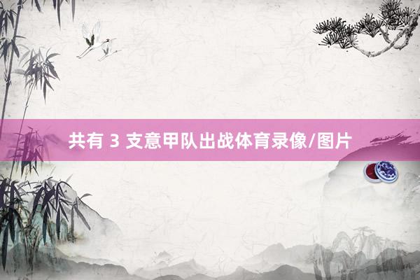 共有 3 支意甲队出战体育录像/图片