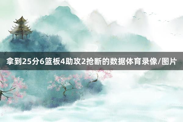 拿到25分6篮板4助攻2抢断的数据体育录像/图片