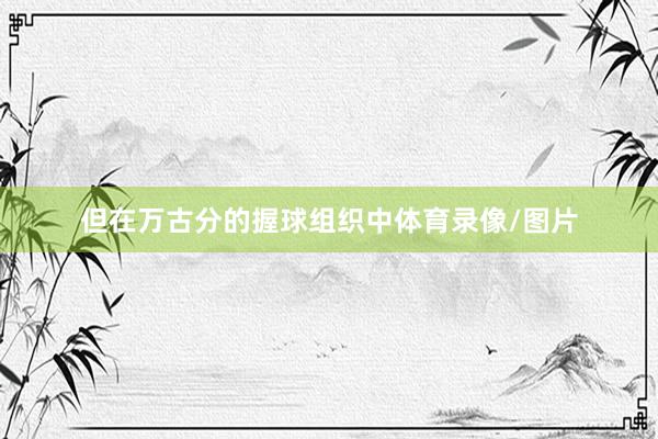 但在万古分的握球组织中体育录像/图片
