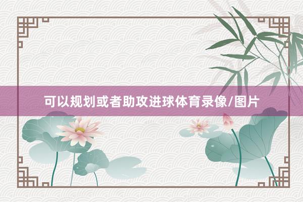 可以规划或者助攻进球体育录像/图片