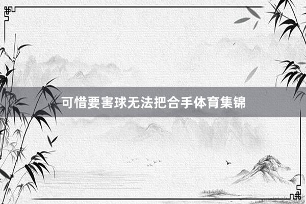 可惜要害球无法把合手体育集锦
