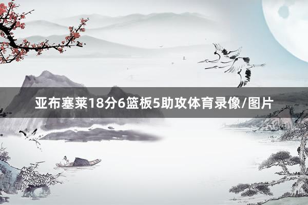 亚布塞莱18分6篮板5助攻体育录像/图片