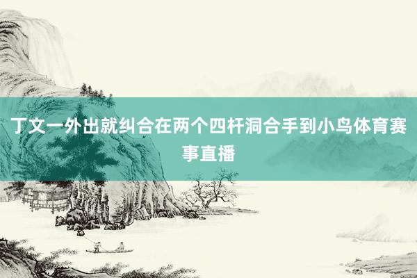 丁文一外出就纠合在两个四杆洞合手到小鸟体育赛事直播